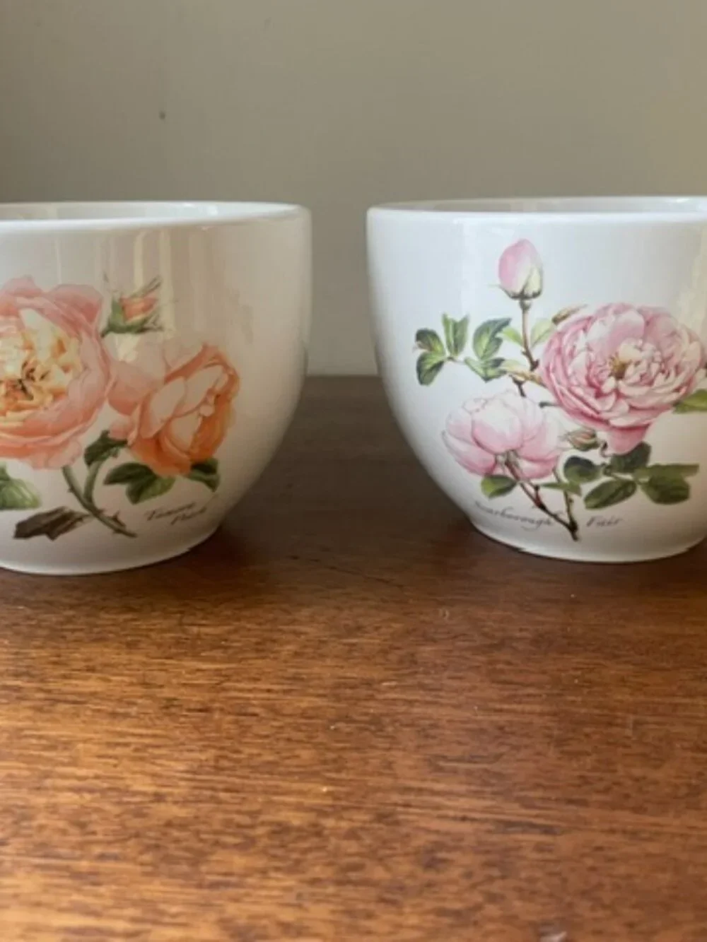 PORTMEIRION BOTANIC GARDEN Rose theme Vanessa Bell & Scarborough Fair Bowls x2